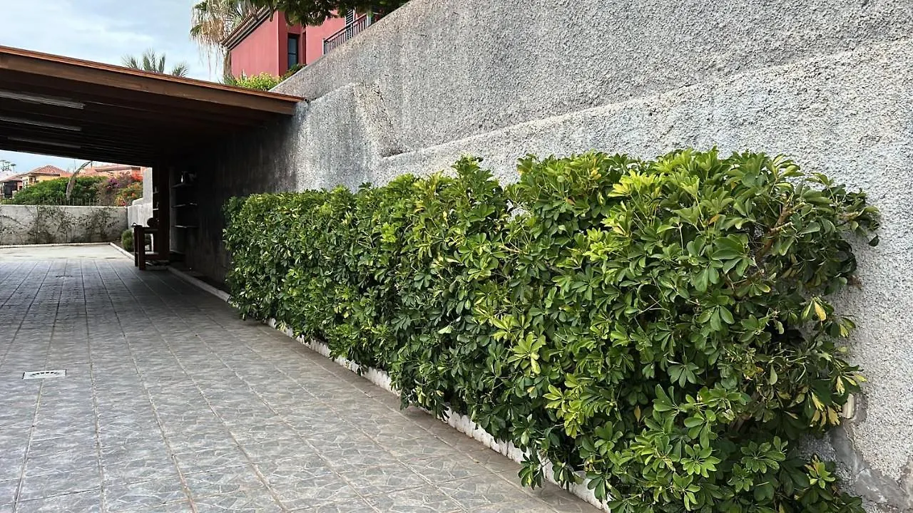 Estupendo Chalet En Candelaria Con Piscina location